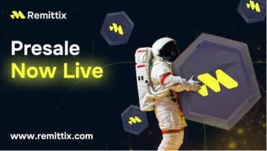 investors-from-rexas-finance-join-the-remittix-presale-as-dogecoin-could-tumble-in-2025